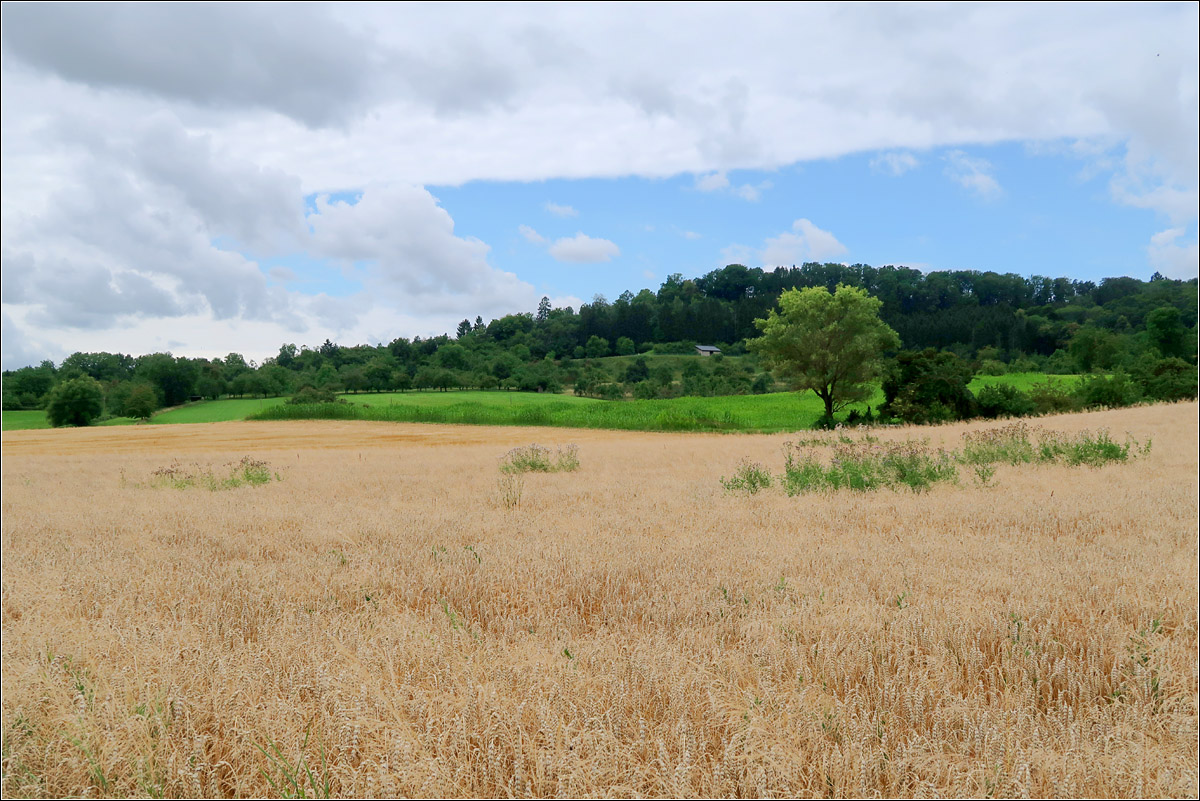 Landschaft bei Schornbach -

... in einem Seitental des Remstales.

05.08.2021 (M)