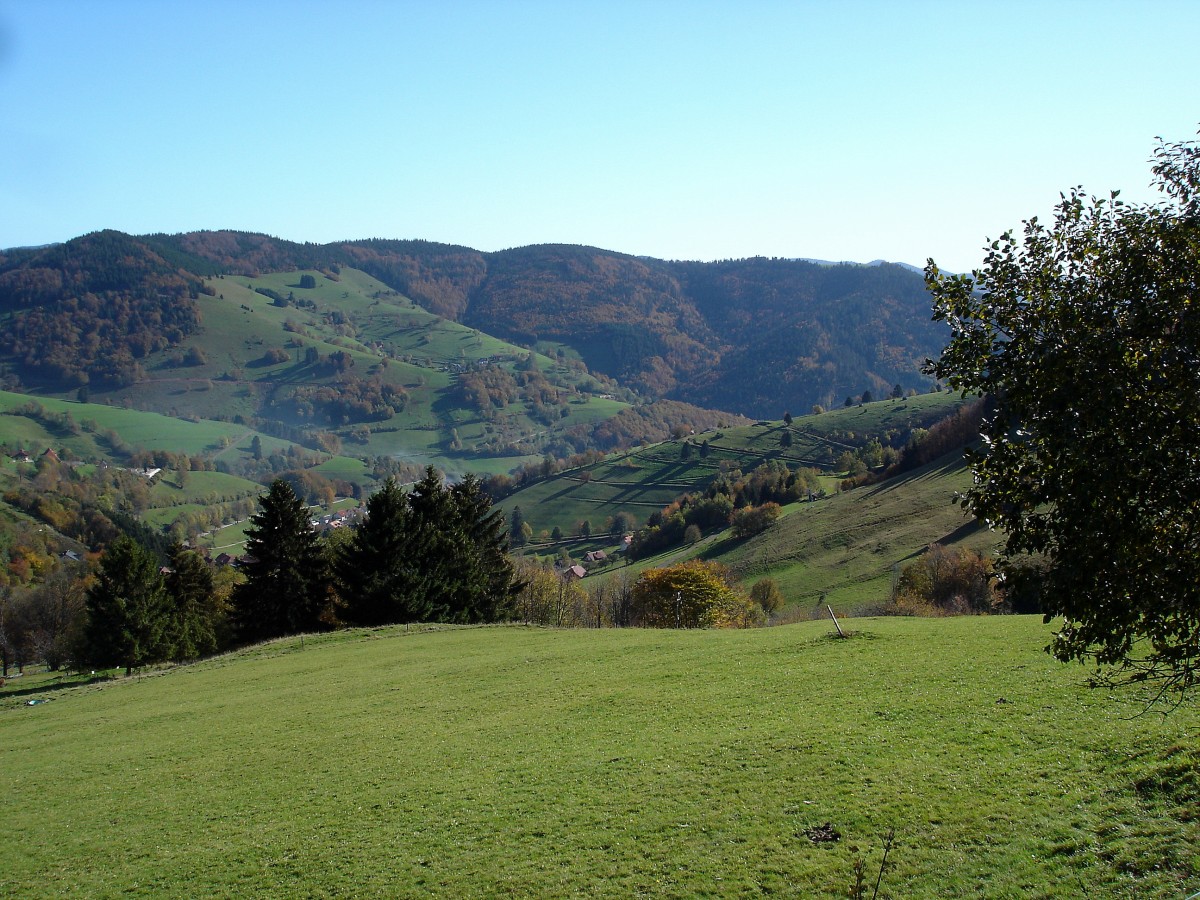 Landschaft bei Wieden im Naturpark Südschwarzwald, Okt.2006