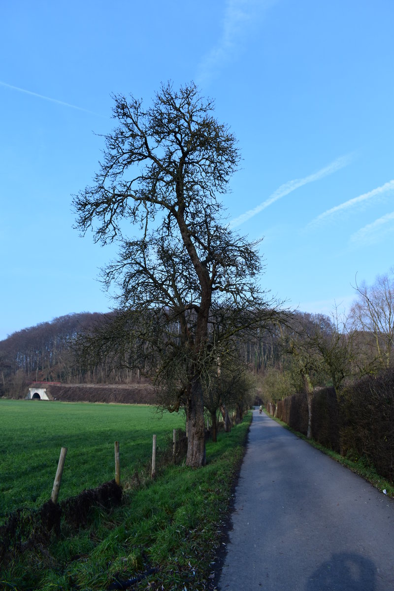 Landschaft beim Rittergut Morp zwischen Düsseldorf-Gerresheim und Erkrath.17.12.2016