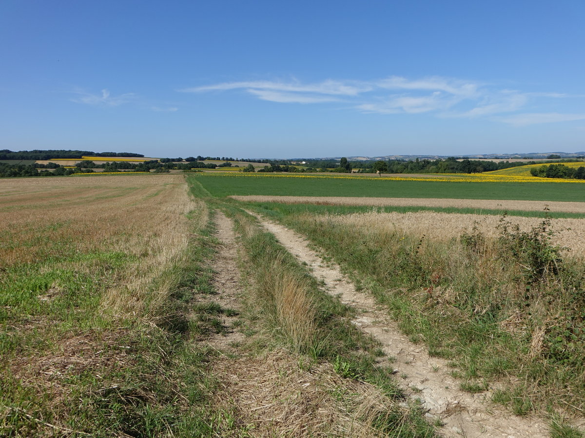 Landschaft in der Charente bei Saint-Amant-de-Boixe (15.07.2017)