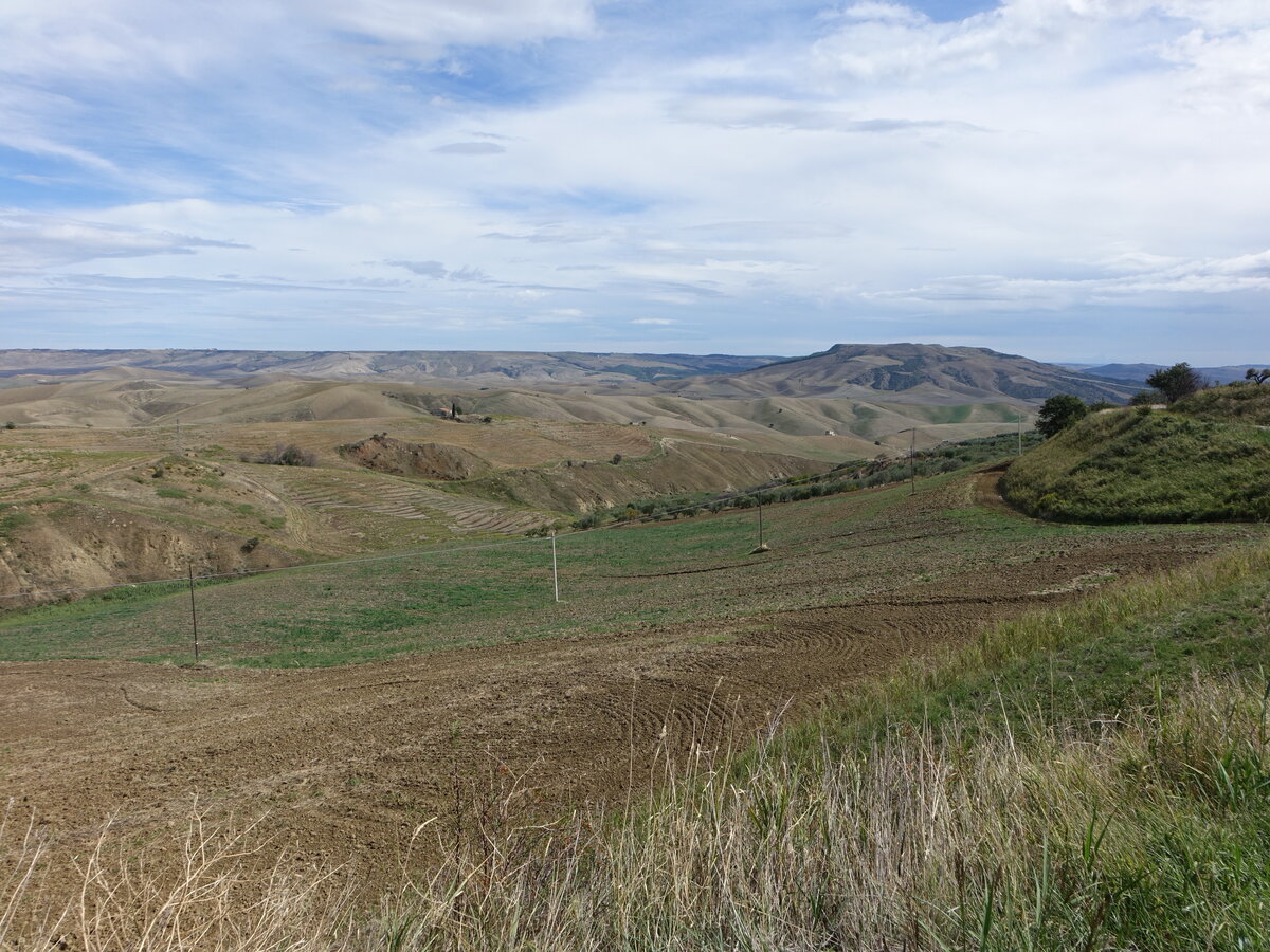 Landschaft entlang der Landstraße SS96 bei Irsina (29.09.2022)