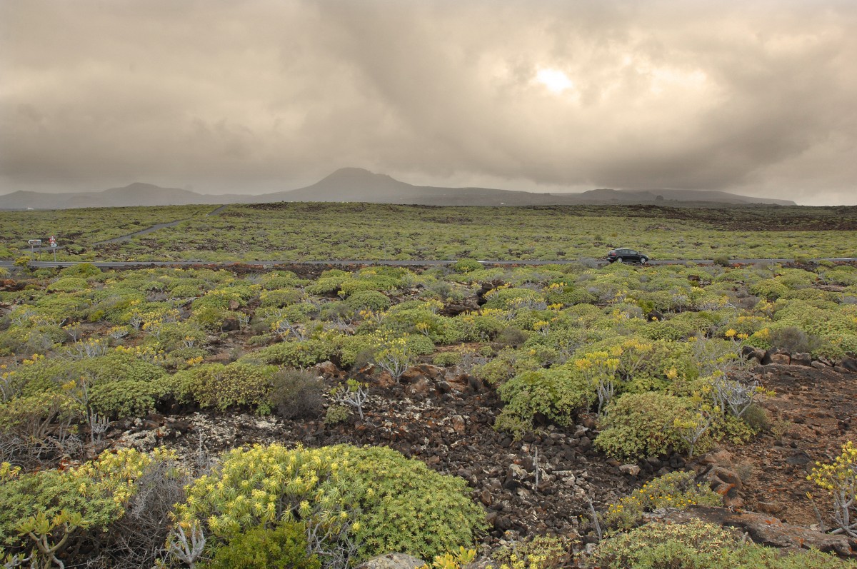 Landschaft in der Nähe von Cueva de Los Verdes, Lanzarote. Aufnahme: 2011.