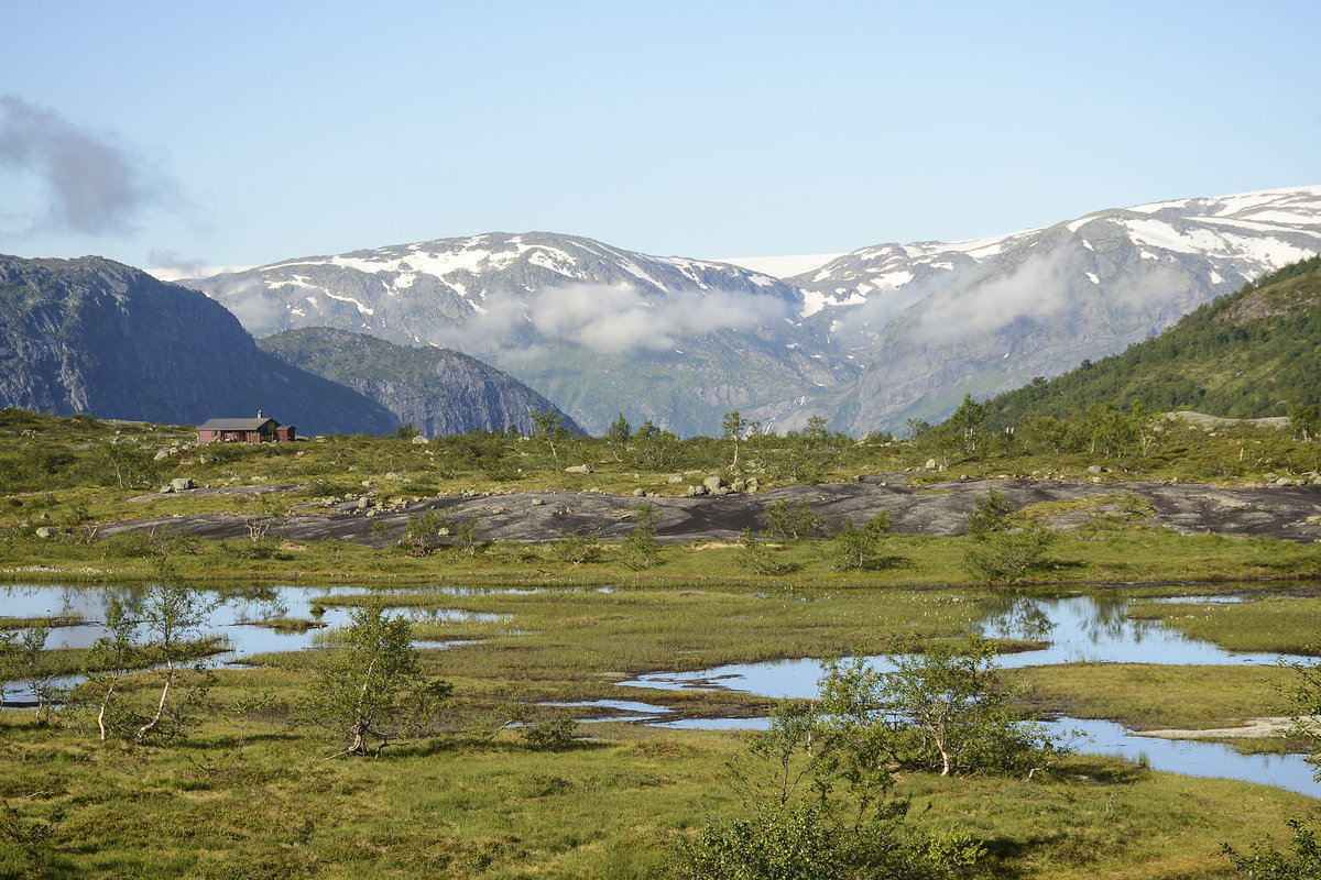 Landschaft nördlich von Skjeggedal (Norwegen). Aufnahme: 8. Juli 2018.