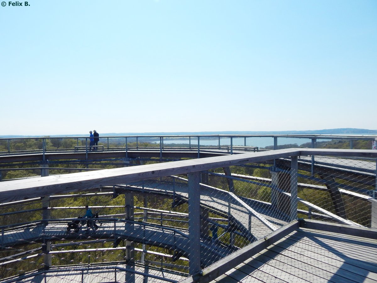 Landschaft von Rügen vom Baumwipfelpfad in Prora aus am 02.05.2016