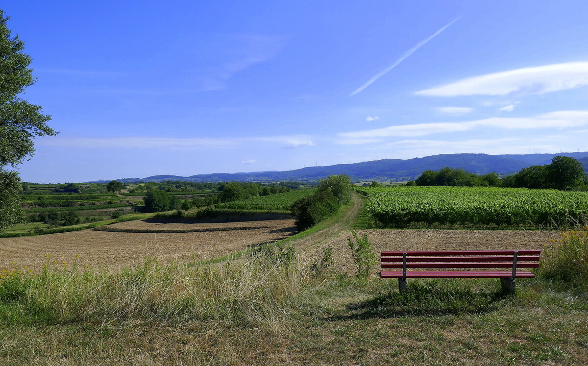 Landschaft in der Vorbergzone des Schwarzwaldes bei Tutschfelden im Breisgau, Aug.2022