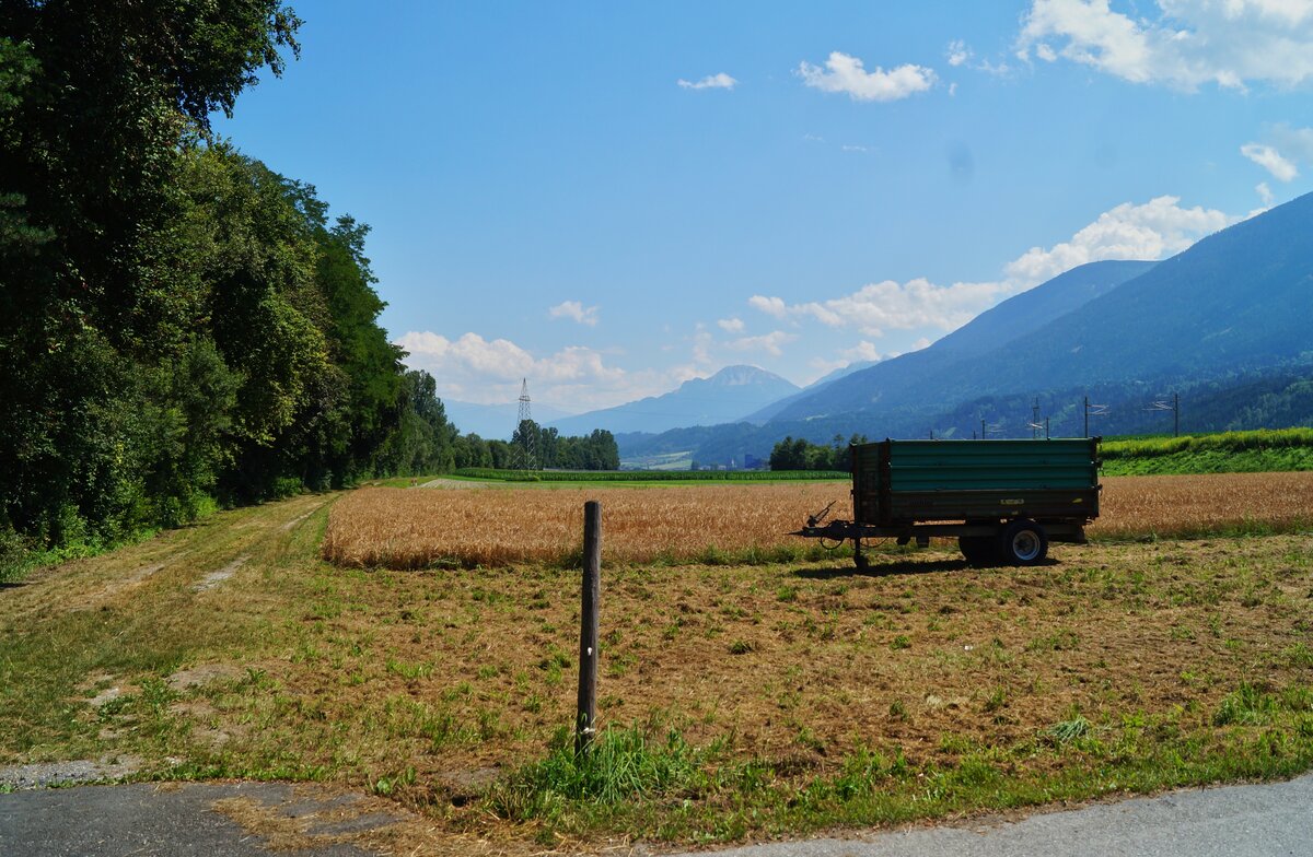 Landwirtschaftliche Nutzfläche im Tiroler Oberinntal. Im Sommer 2020 diente sie zur Getreideproduktion. (Flaurling, 30.07.2020)