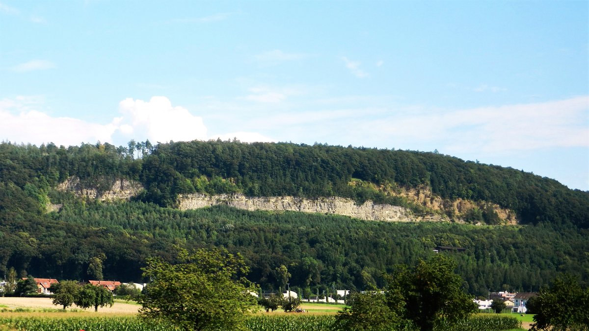 Langgezogenes Felsband mitten im Wald, oberhalb von Würenlingen, Kanton Aargau - 02.08.2014
