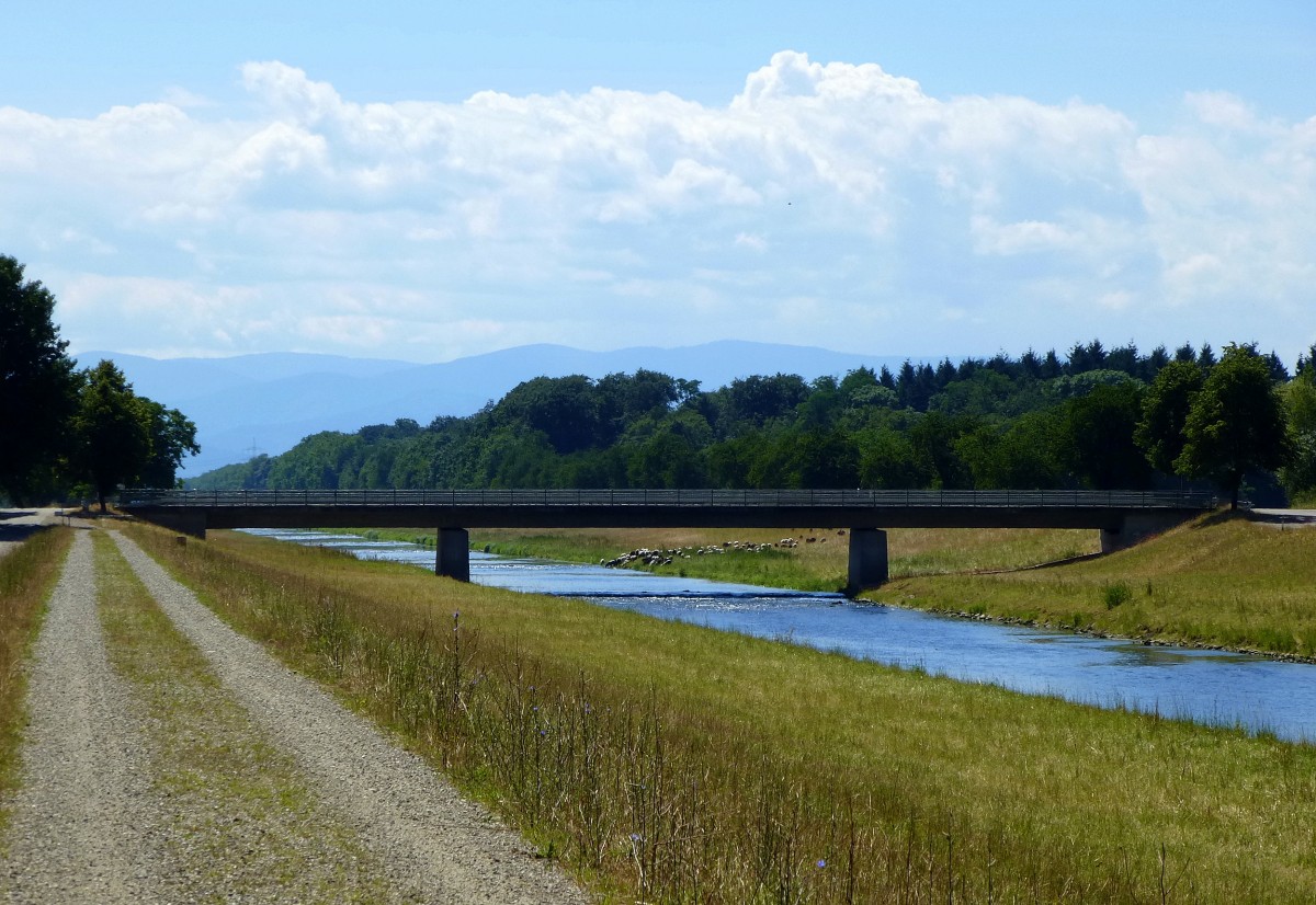 Leopoldskanal in der Rheinebene vor der Mndung in den Altrhein, im Hintergrund der Schwarzwald, Juli 2014