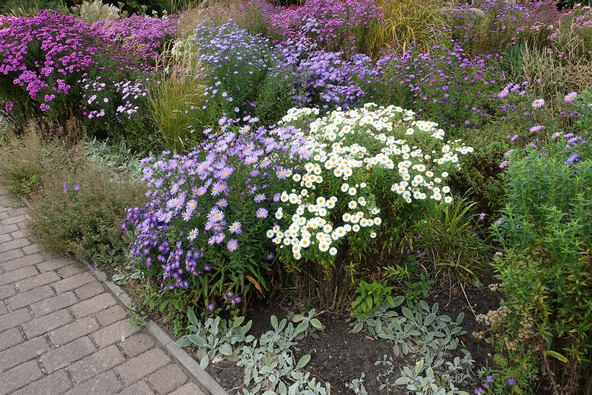 Leuchtender Oktober in Hamburg im Park Planten un Blomen am 11.10.2020 /