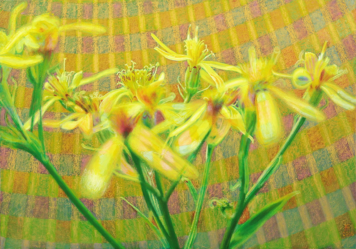  Lichtblume 1 (Harzgreiskraut) , Gemälde: Öl, Goldpastell auf Holz, 2015, 70 x 100 cm; Blütchen des Harzgreiskrauts, gemalt nach einem Foto, das ich in der Nähe von Braunlage aufgenommen habe...