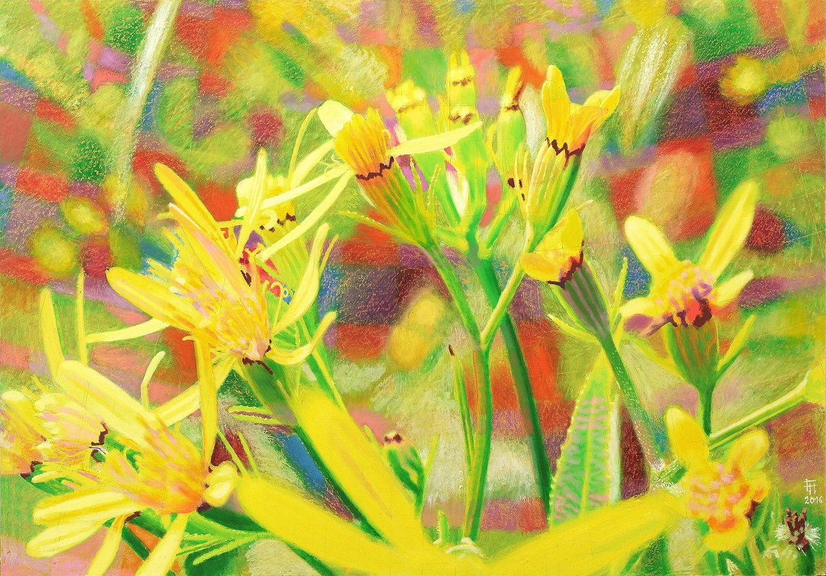  Lichtblume 3 (Harzgreiskrautblütchen) , Gemälde: Öl und Ölpastell auf Holz, 2016, 70 x 100 cm