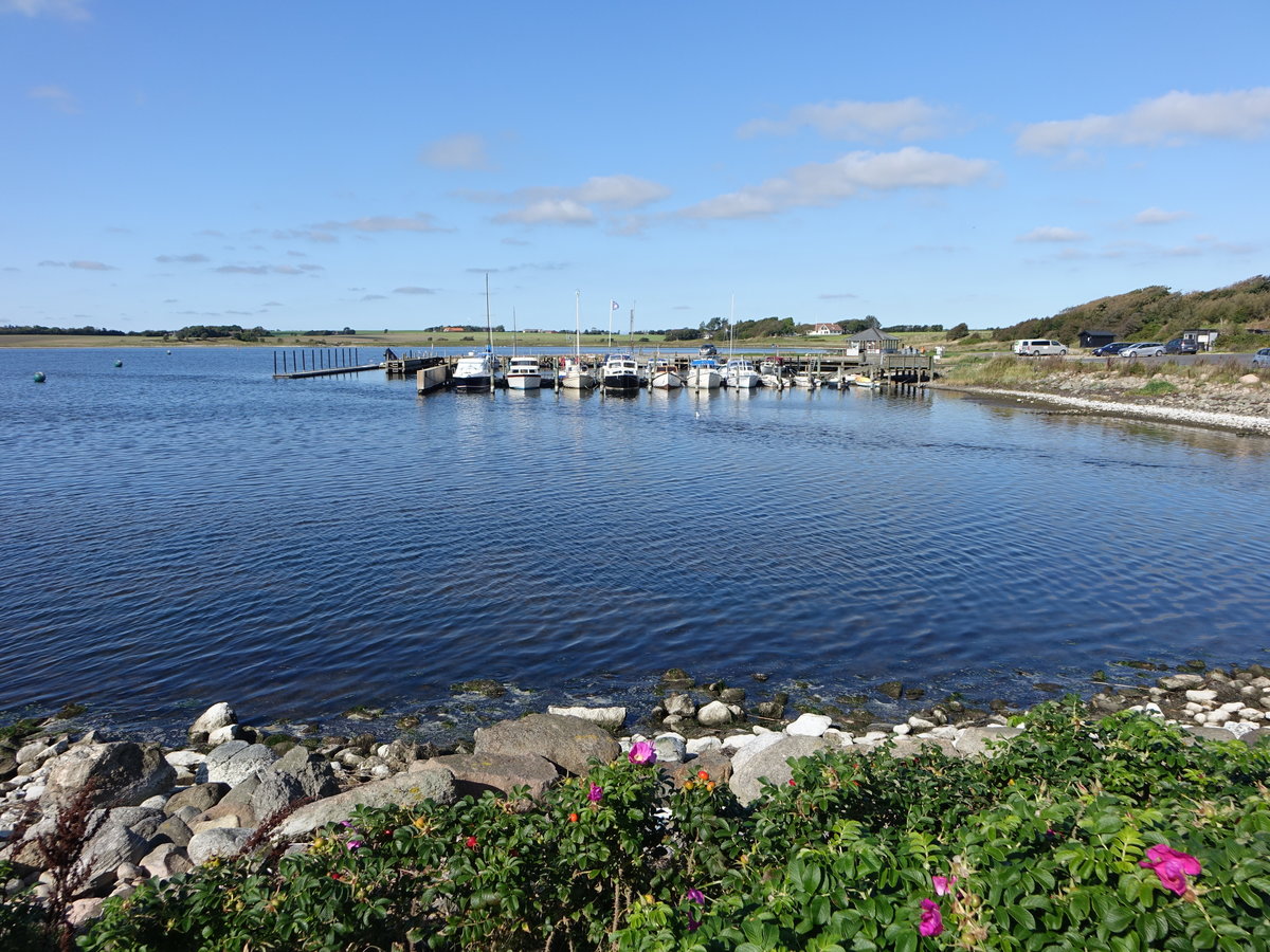 Limfjord bei Tissinghuse, Nordjütland (20.09.2020)