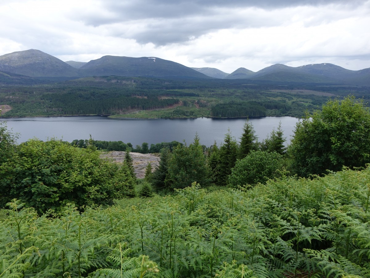 Loch Garry in den Great Glens 25 km nördlich von Fort William (05.07.2015)