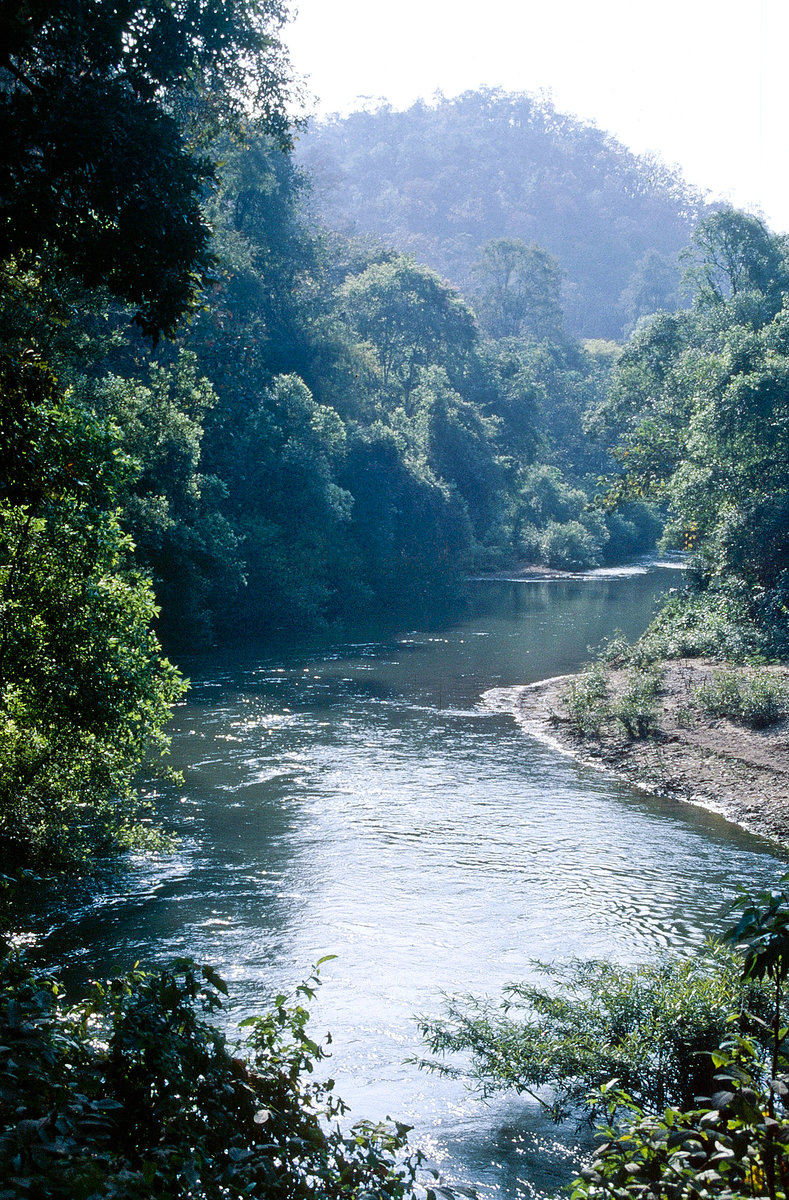 Mae Yom National Park in Thailand. Bild vom Dia. Aufnahme: Februar 1989.