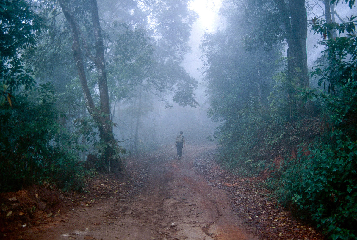 Mae Yom National Park in Thailand. Bild vom Dia. Aufnahme: Februar 1989.