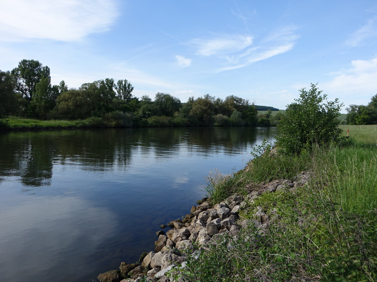 Main bei Fahr a. Main, Lkr. Kitzingen (28.05.2017)