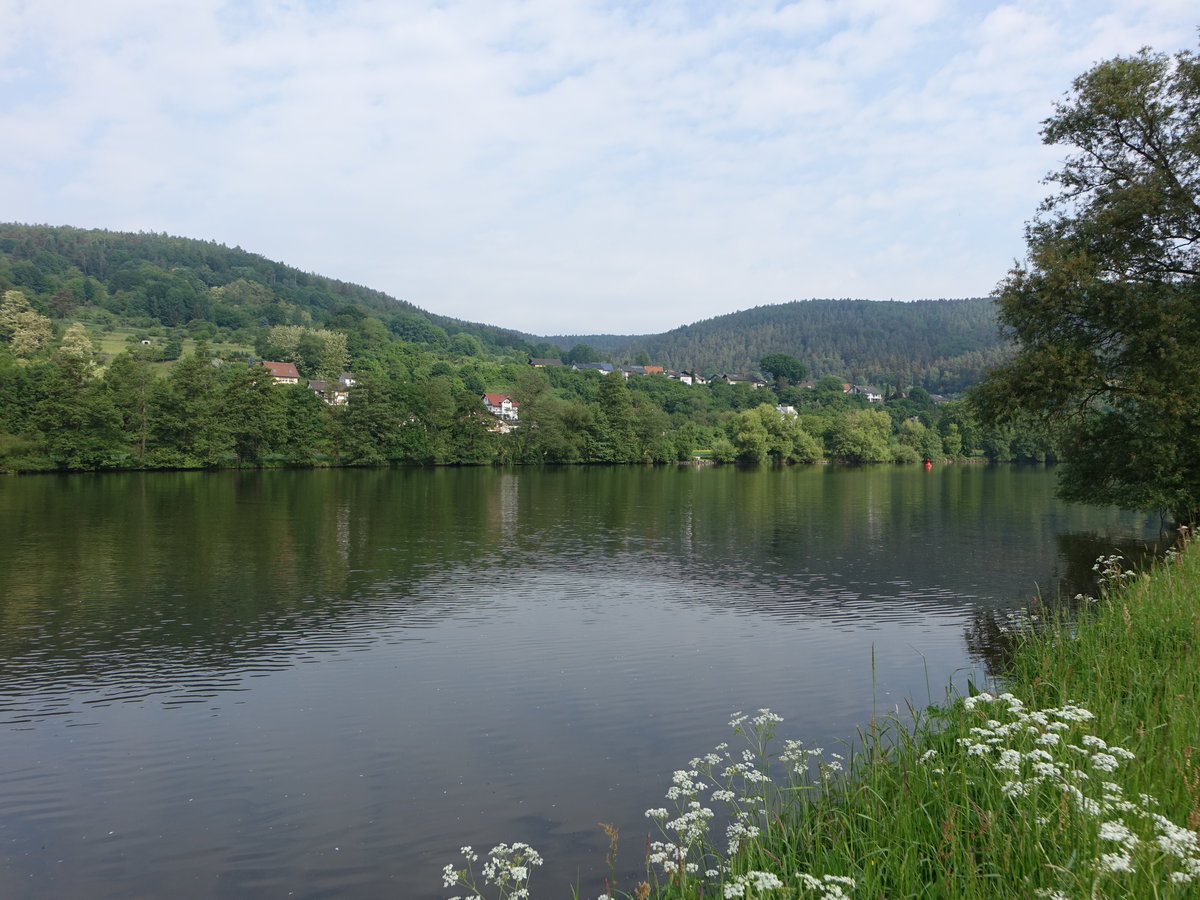 Main bei Neustadt a. Main, Kreis Main-Spessart (12.05.2018)