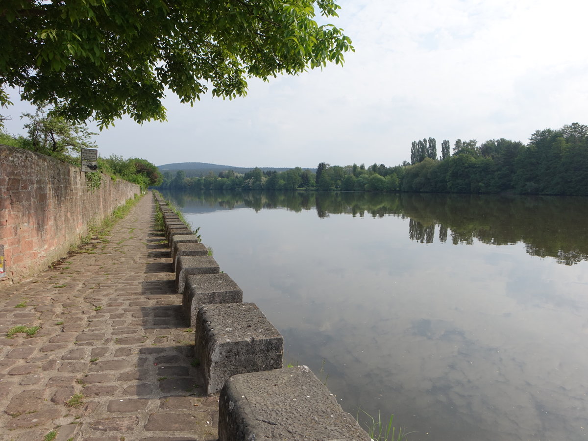 Main bei Niedernberg im Kreis Miltenberg (13.05.2018)