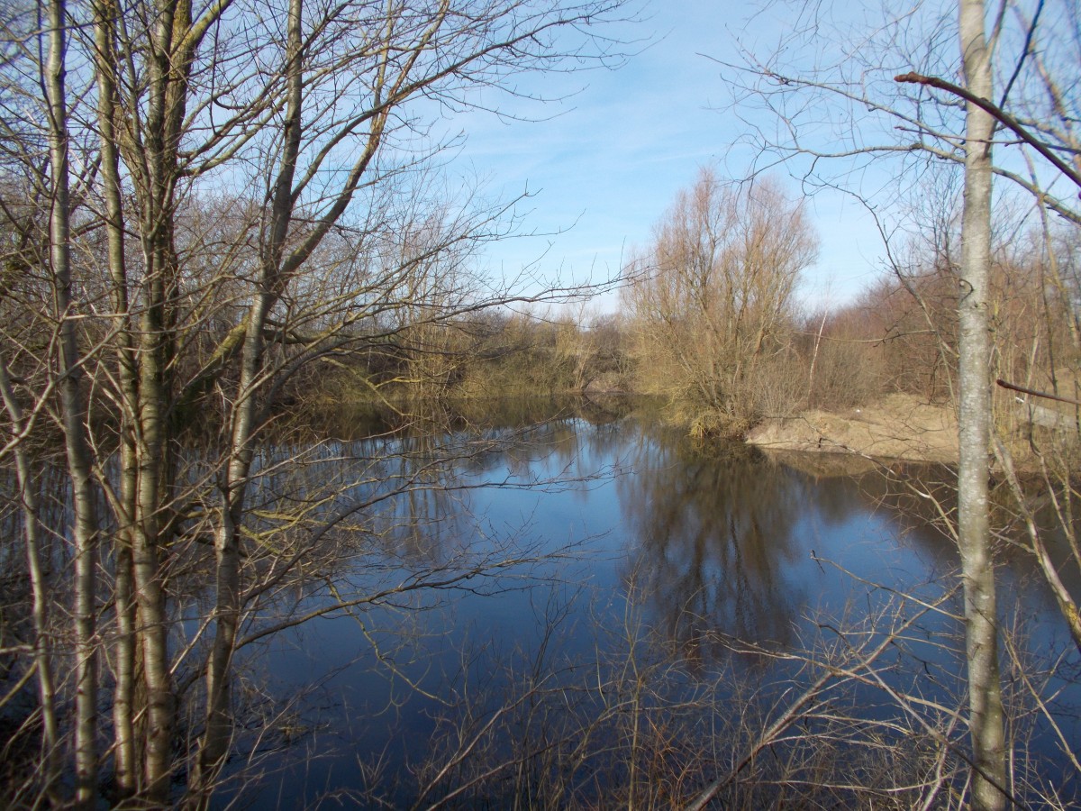 Manche Seen auf Rügen findet man zufällig wie diesen See bei Poseritz am 23.März 2015.