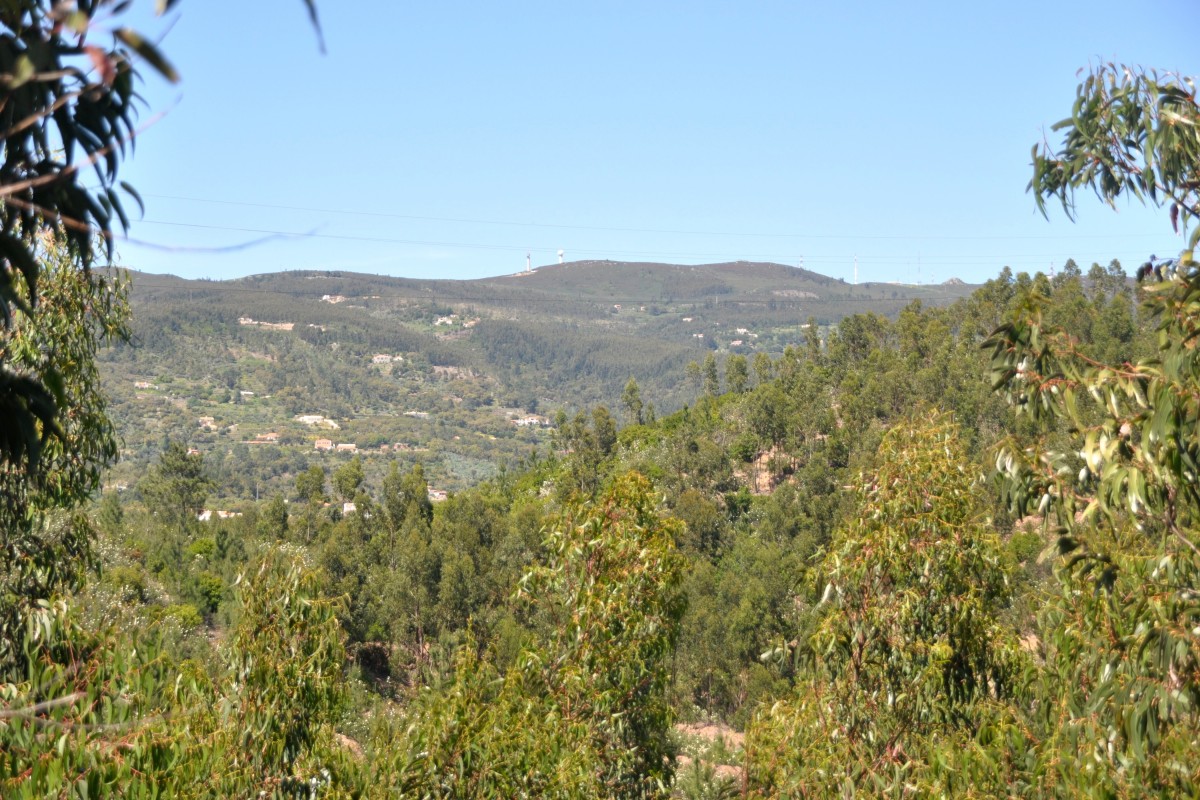 MARMELETE, 01.05.2014, in der Serra de Monchique