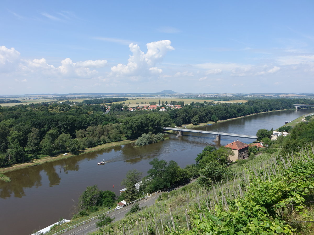 Melnik, Elbe nach Einmündung der Moldau (28.06.2020)