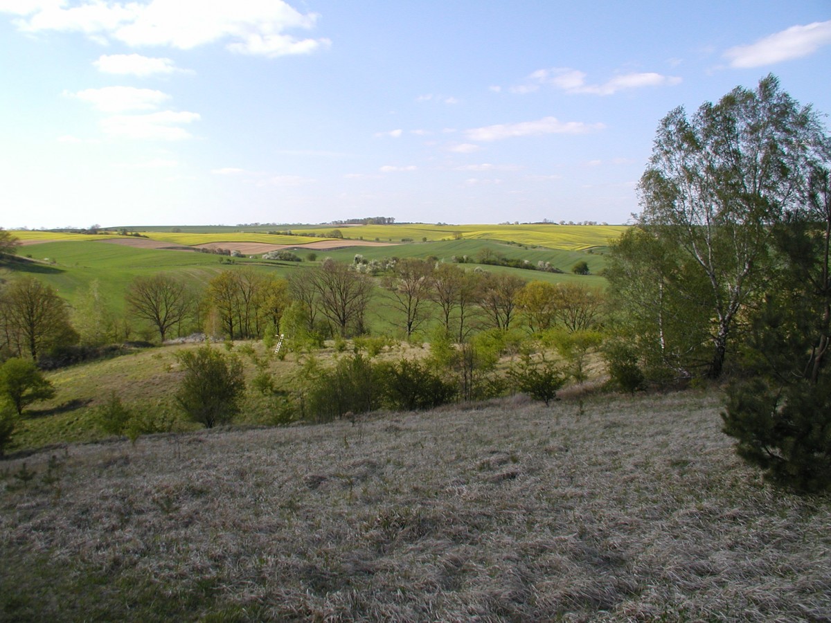 Mescherin (oberhalb, Blickrichtung NW) Juli 2010