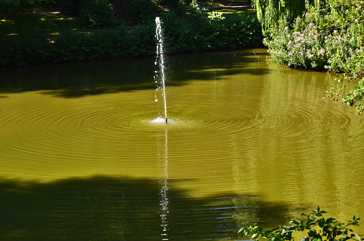 Minibrunnen im Schillerparkteich in Euskirchen zieht Wasserkreise - 03.08.2015