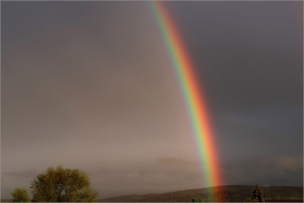 Mit Leuchtkraft - 

Einer der schönsten Regenbogen zeigt sich am Abend des 06. Mai 2021 (M) in der Remstalbucht.
Der Baum links war da noch vollständig.

Rommelshausen (M)
