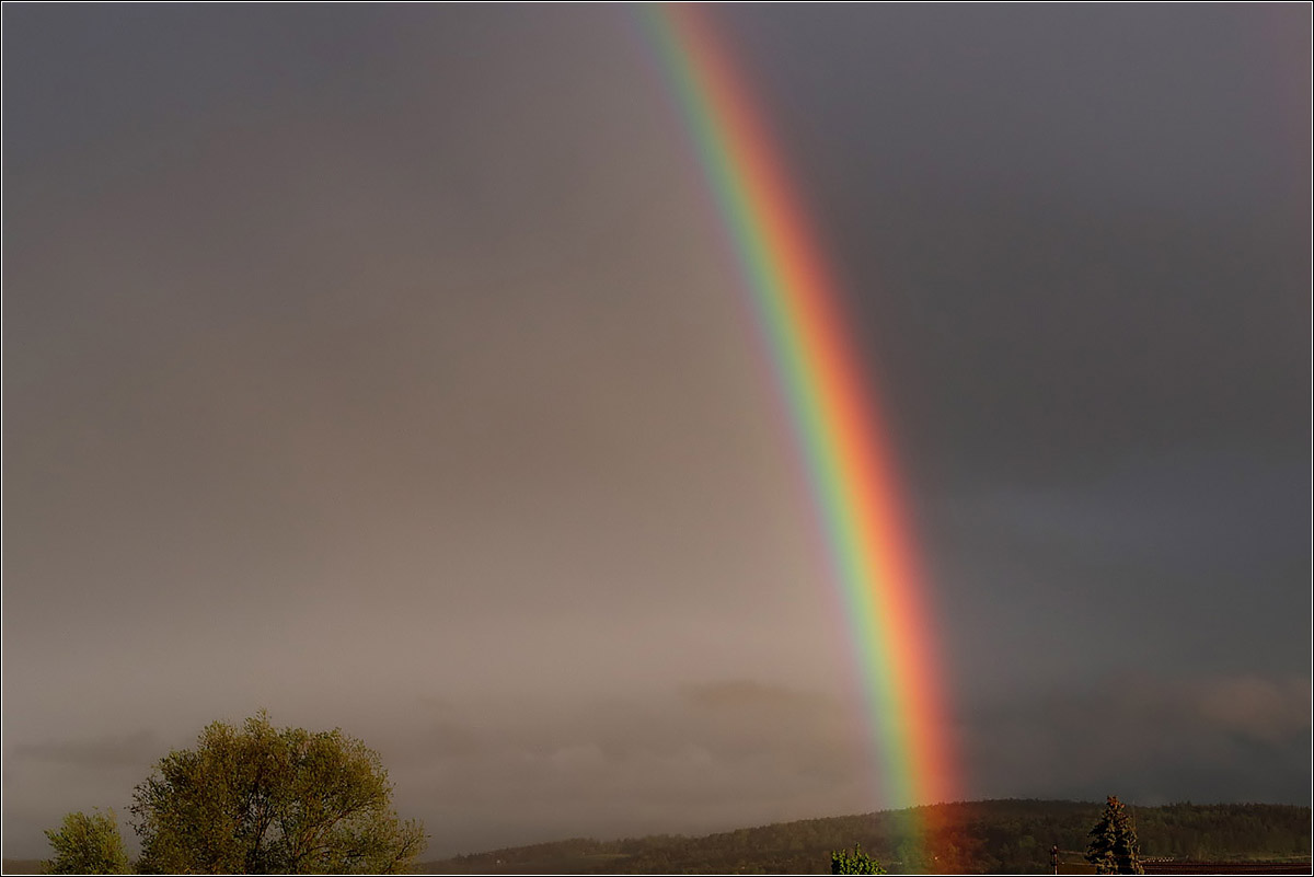 Mit Leuchtkraft - 

Einer der schönsten Regenbogen zeigt sich am Abend des 06. Mai 2021 (M) in der Remstalbucht.
Der Baum links war da noch vollständig.

Rommelshausen (M)
