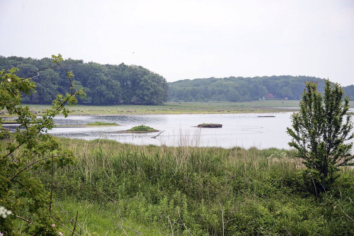 Mit seiner Fläche von rund 773 Hektar ist das in der Geltinger Bucht und auf einer Halbinsel gelegene Naturschutzgebiet das größte im Kreis Schleswig-Flensburg. Das Gebiet gehört der Stiftung Naturschutz Schleswig-Holstein. Aufnahme: 7. Juni 2021.