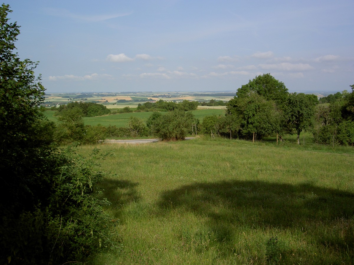 Mittelfranken bei Weigenheim, Kreis Neustadt a. d. Aisch (19.06.2014)