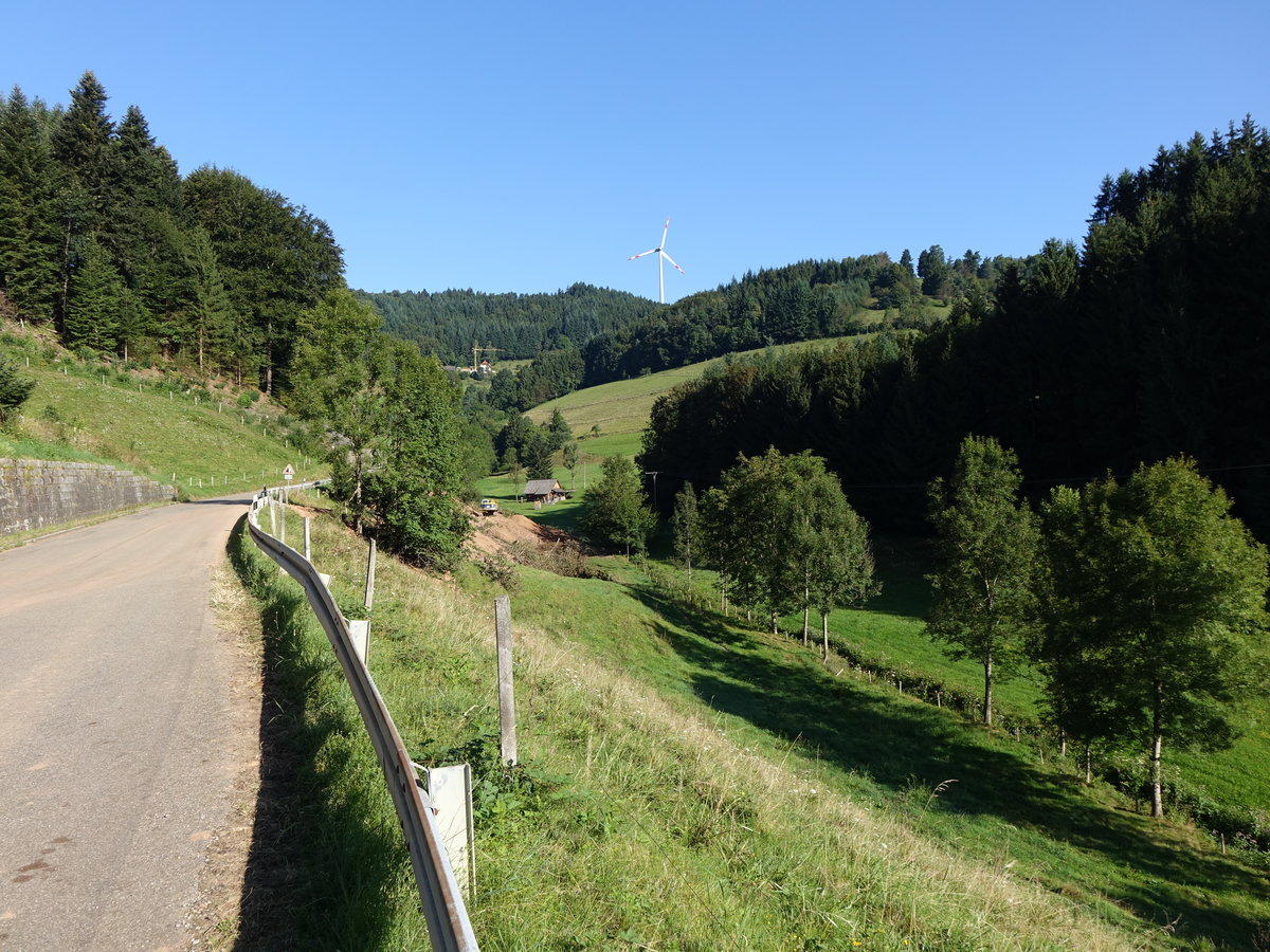 Mittlerer Schwarzwald bei Keppenheim (14.08.2016)