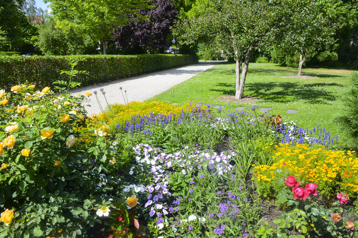 Mölln im Herzogtum Lauenburg. Blumen im Kurgarten. Aufnahme: 28. Juni 2022.