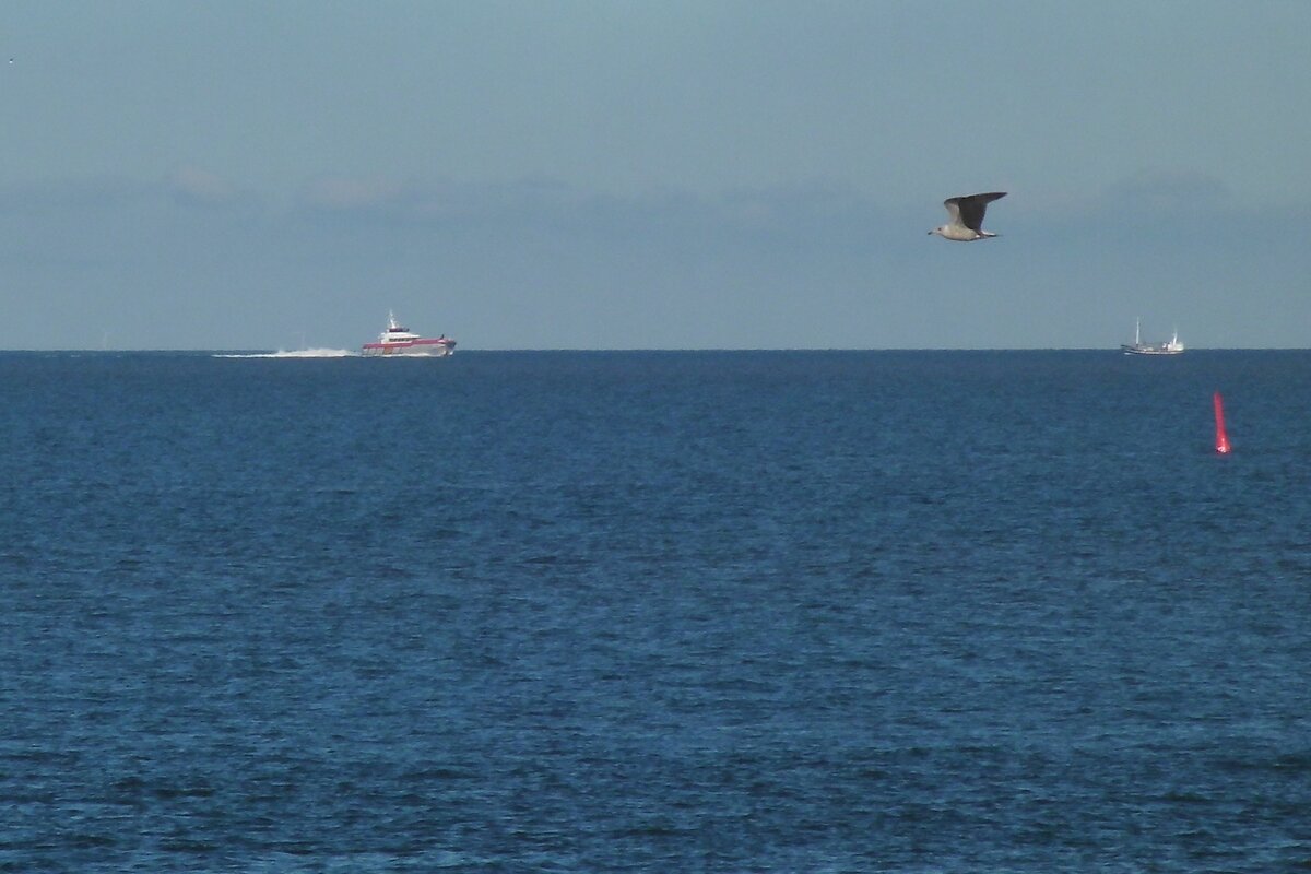 Möwe und Schiffe, am 30.09.2015 am Strand von Norderney.