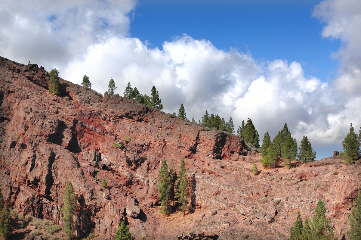 Monumento Natural del Roque Nublo - Gran Canaria. Aufnahme: Oktober 2009.