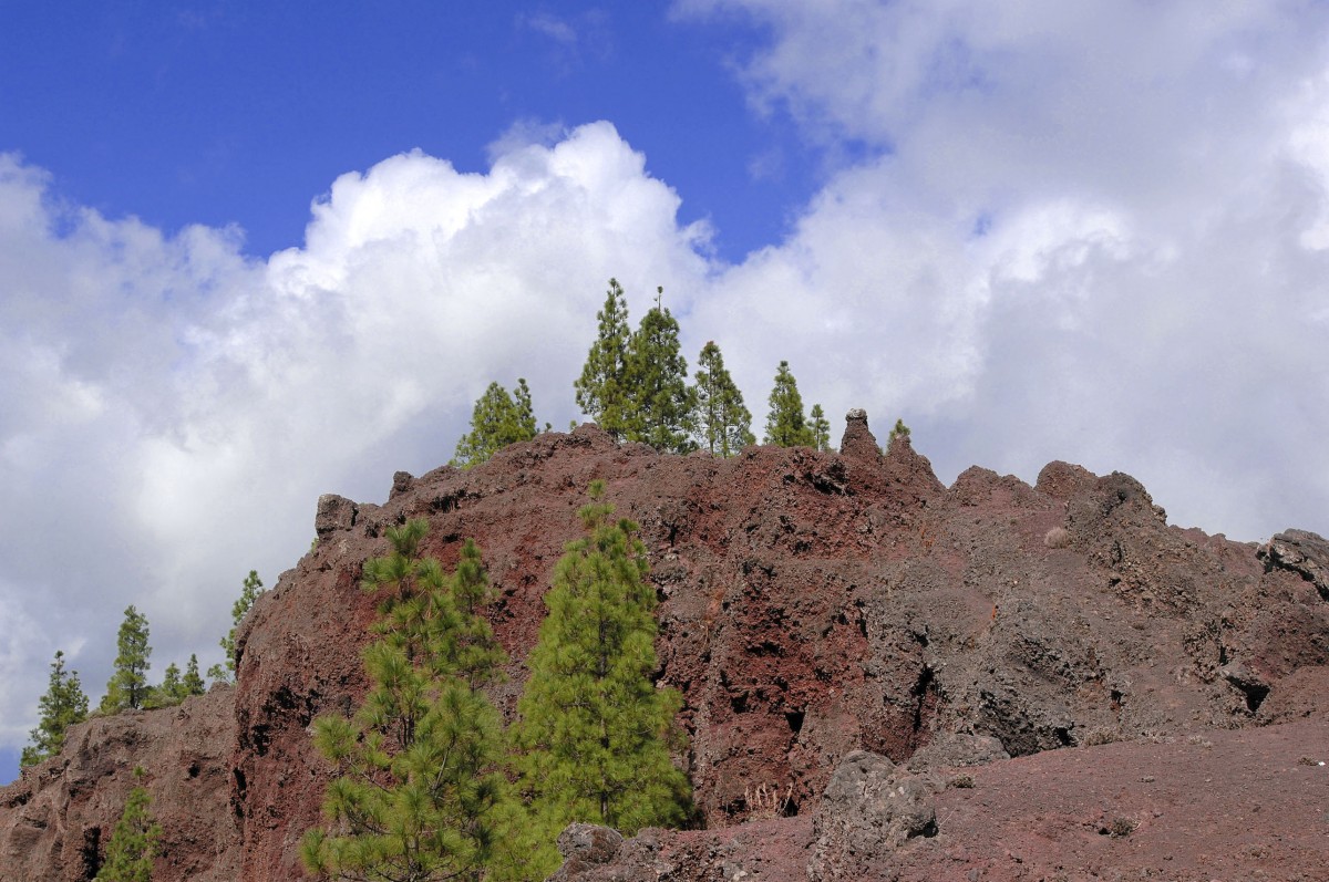 Monumento Natural del Roque Nublo - Gran Canaria. Aufnahme: Oktober 2009.