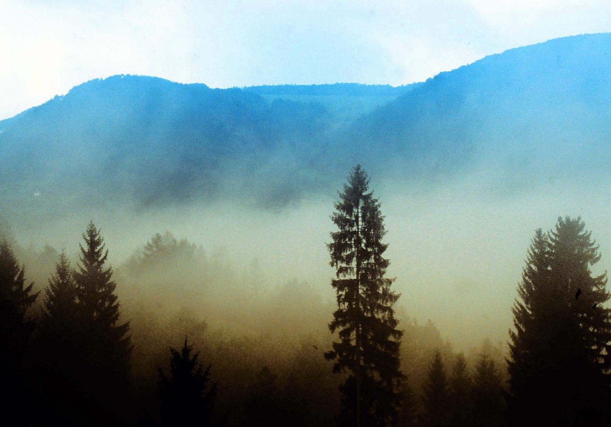 Morgenaufnahme - Das Foto ist in der Nähe von Seis am Schlern in Südtirol aufgenommen. Aufnahme: April 2001 (Bild vom Dia).