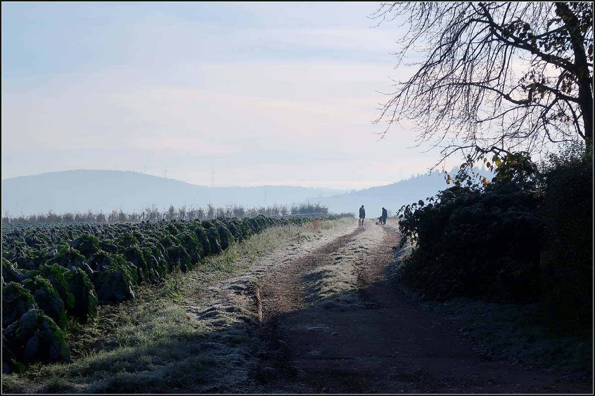 Morgendliche Hundespaziergang -

Auch für uns war dies der Anlass uns draußen aufzuhalten.

Am Ortsrand von Rommelshausen.

22.11.2020 (M)