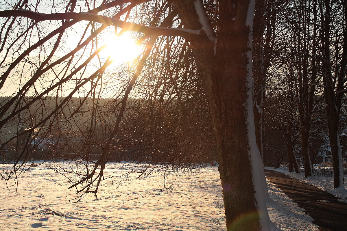 Morgensonne über dem Tal mit Braunlage; Blick am 13.02.2016 von der Allee hinter dem Rathaus...