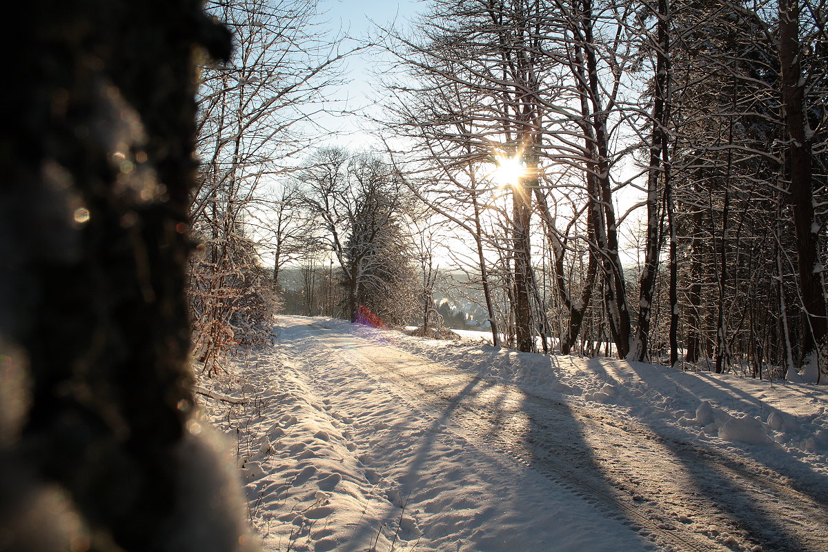 Morgensonne im Wald nahe Braunlage; im Hintergrund das Tal mit dem Städtchen. Aufnahme vom 13.02.2016...