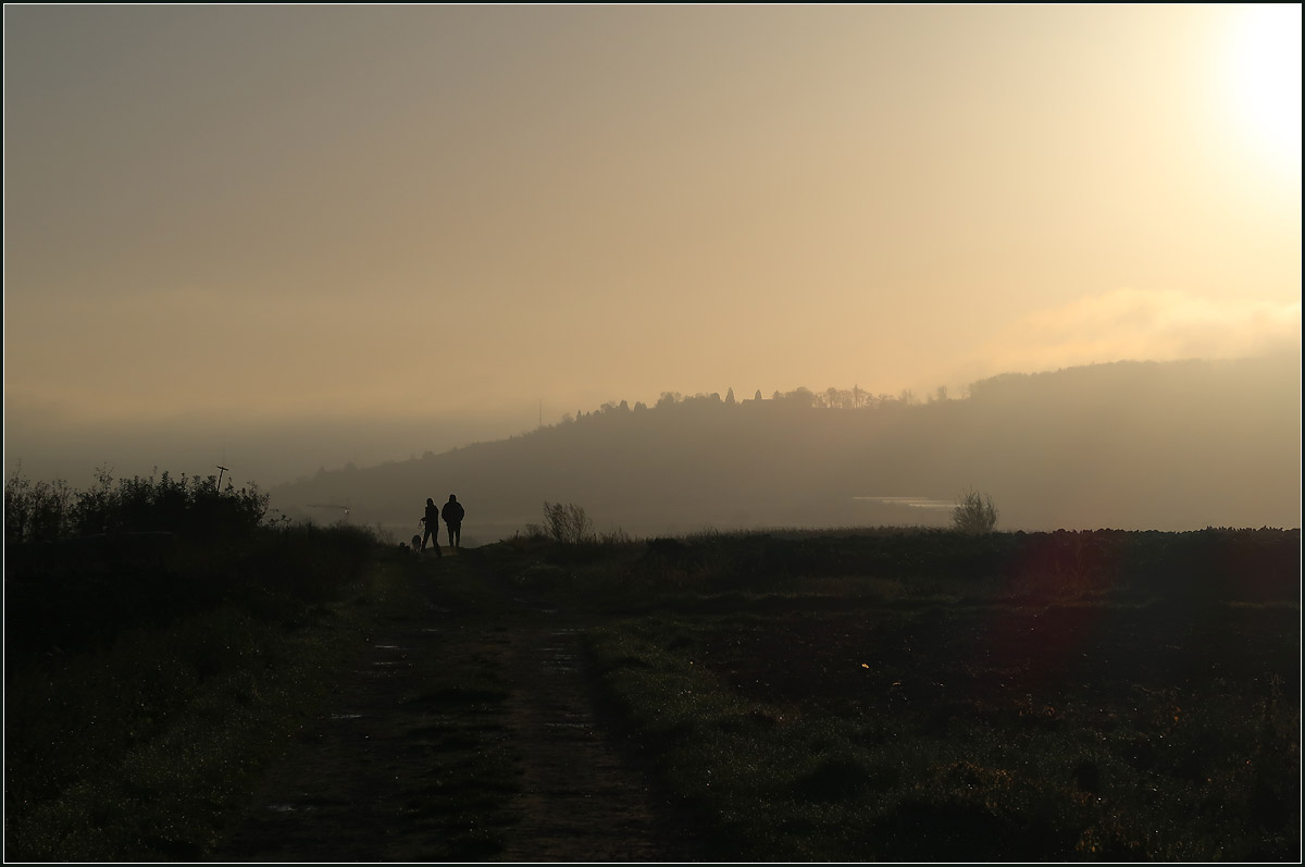 Morgenstimmung -

... auf dem Feld bei Kernen-Rommelshausen.

20.11.2020 (M)