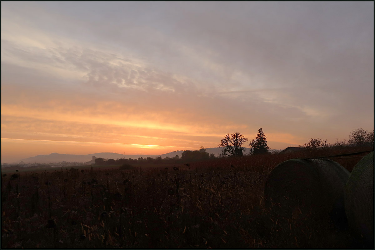 Morgenstimmung in der Remstalbucht - 

Zwischen Kernen-Rommelshausen und Waiblingen-Beinstein. 

12.11.2020 (M)