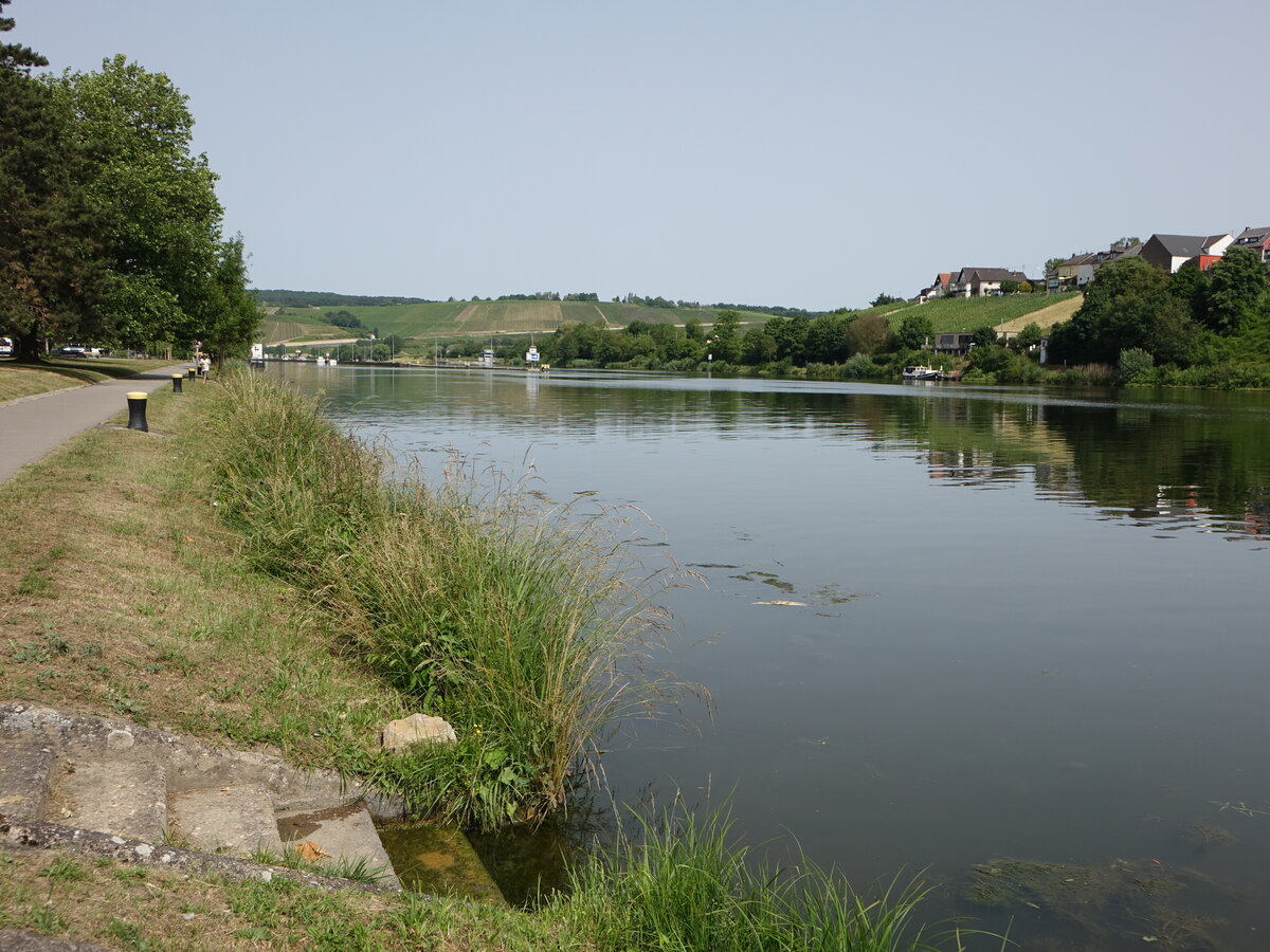 Mosel bei Remich, Luxemburg (18.06.2022)