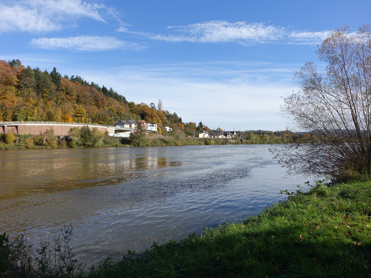 Mosel bei Wasserliesch, Lkr. Trier-Saarburg (05.11.2025)