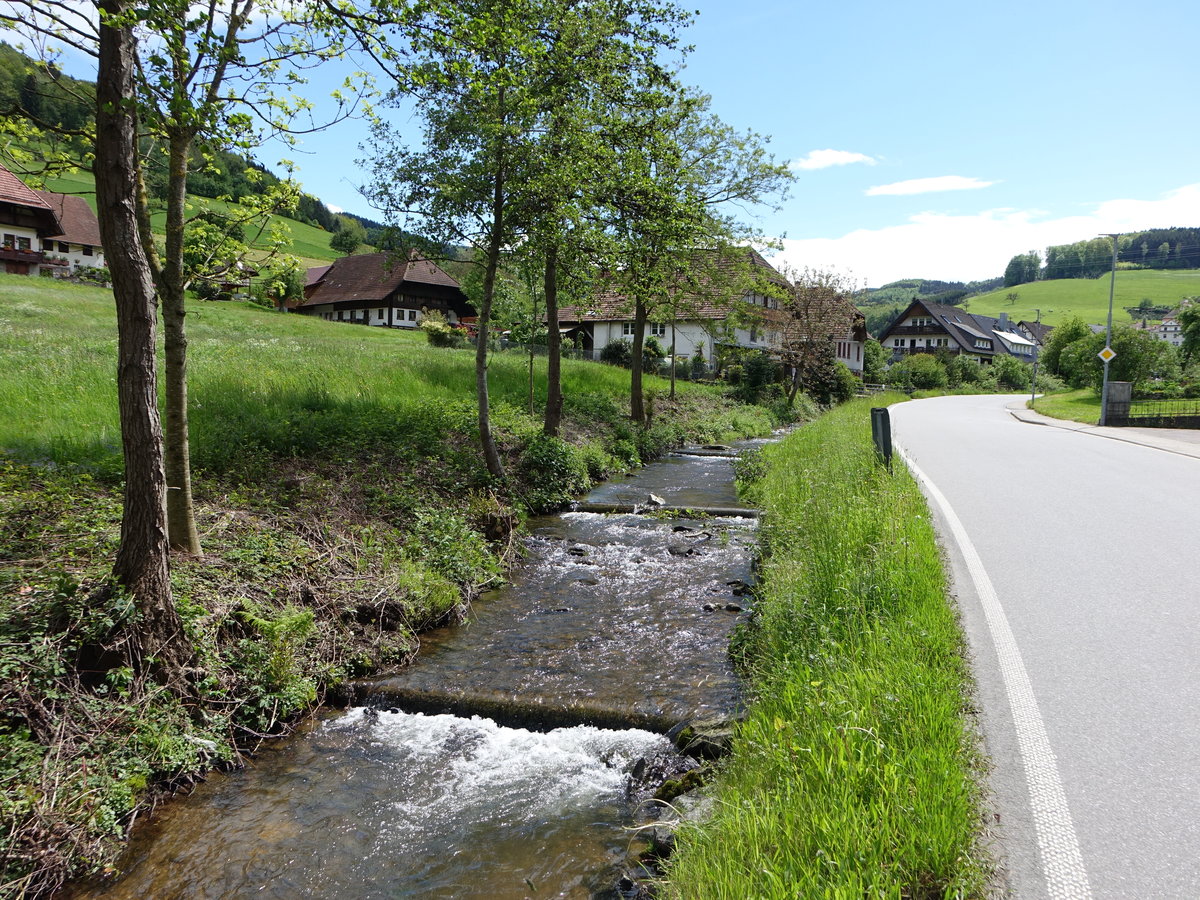 Mühlbach bei Welschensteinach im mittleren Kinzigtal (11.05.2019)