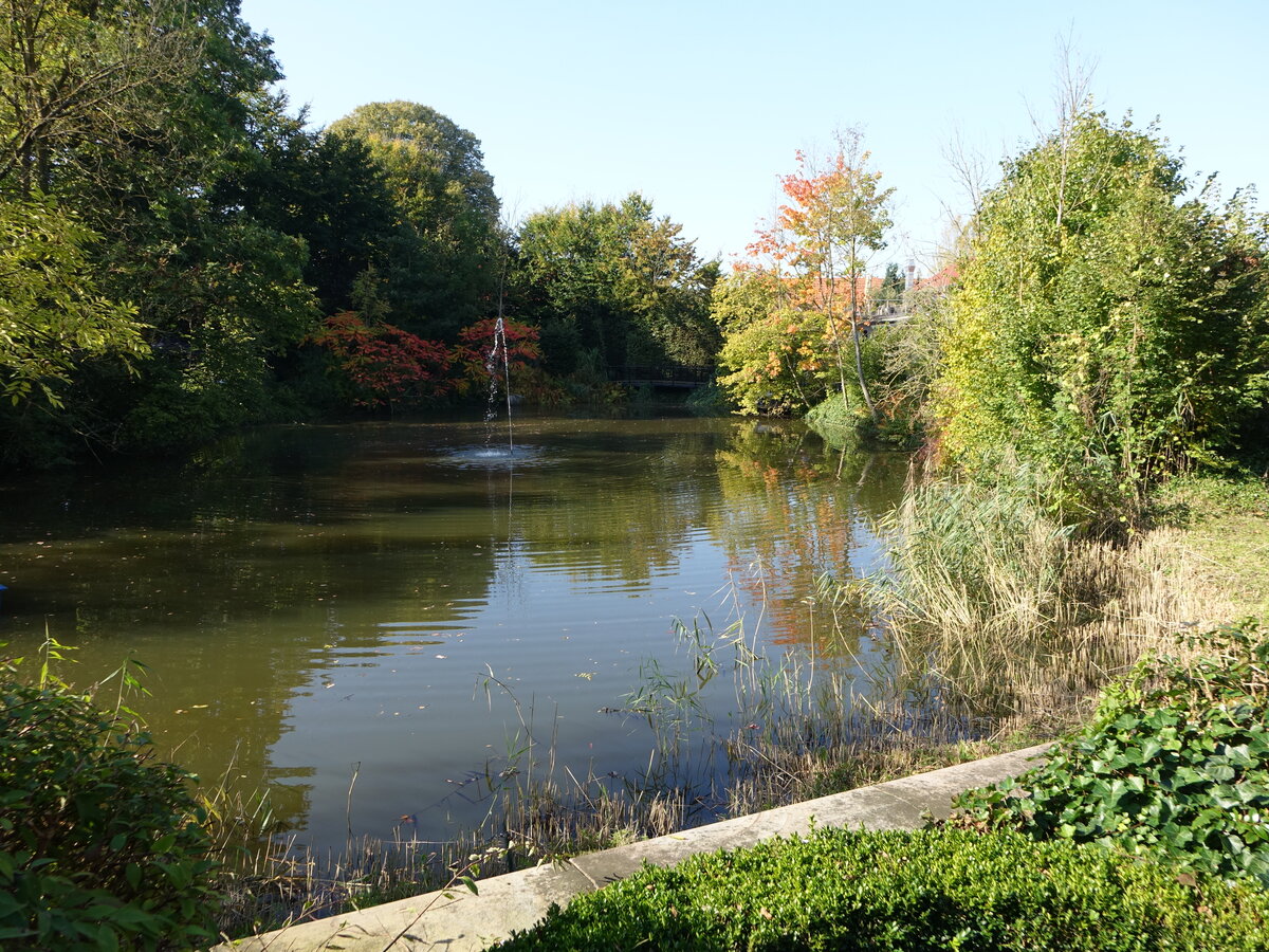 Mühlenkolk Teich in Lünne, Emsland (10.10.2021)