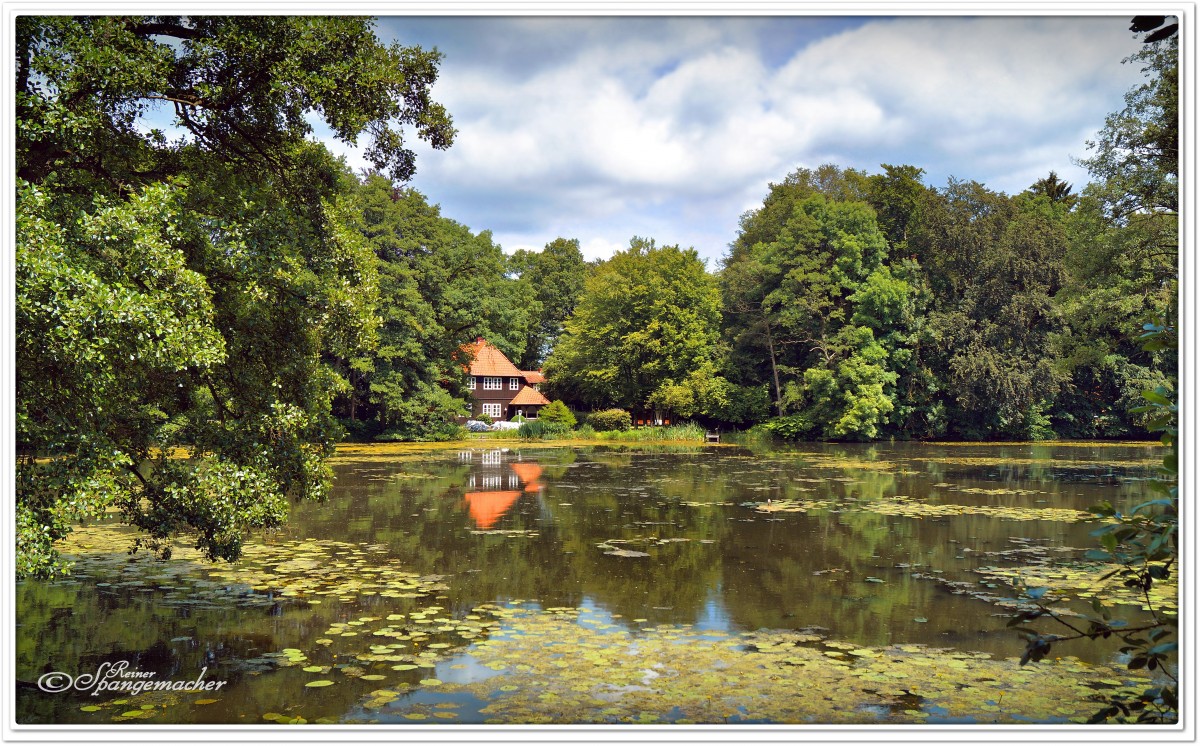 Mühlenteich Nähe Wassermühle, in Lünzen/Heidekreis, Juni 2014.