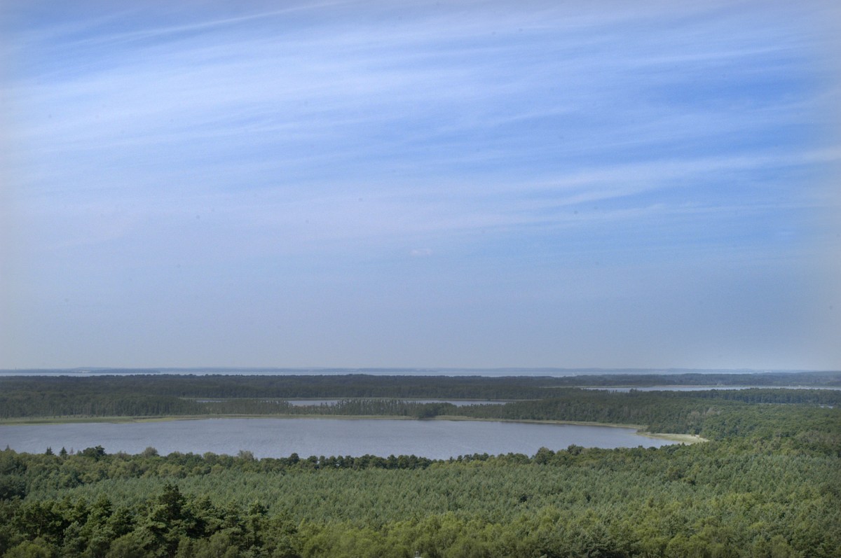 Müritz-Nationalpark: Aussicht vom Turm am Käflingsberg gen Kleinen Zillmannsee. Aufnahme: Juli 2006.