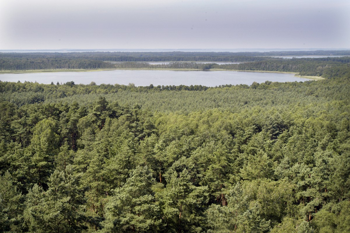 Müritz-Nationalpark: Aussicht zu Priesterbäker See vom Käflingsberg. Aufnahme: Juli 2006.