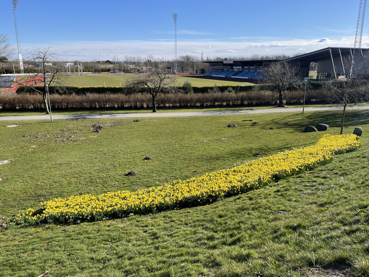 Museumsparken in Skive. Im Hintergrund ist das Fußballstadion von Skive zu sehen. Aufnahme: 30. März 2022.